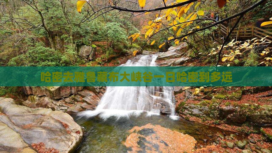 哈密去西藏雅鲁藏布大峡谷一日