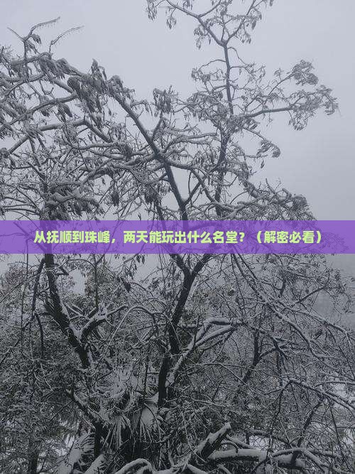 抚顺到西藏珠峰大本营二日游