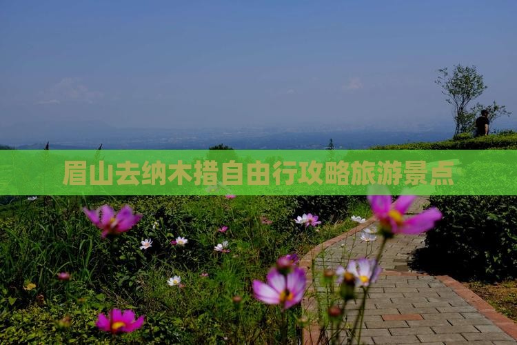 眉山去西藏纳木措自由行
