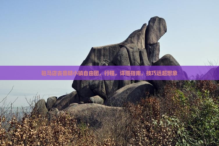 驻马店去西藏鲁朗小镇自由团