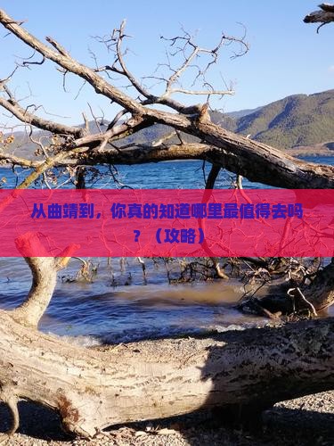 曲靖到西藏哪里玩