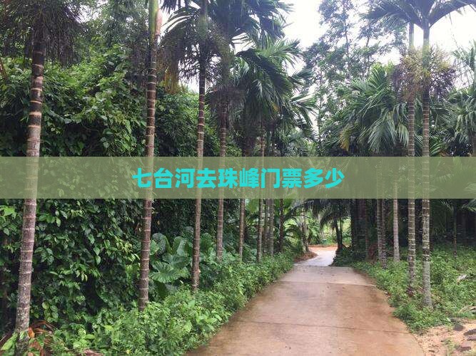 七台河去西藏珠峰大本营门票