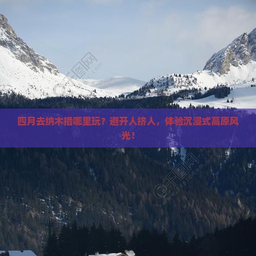 四月到西藏纳木措哪里玩