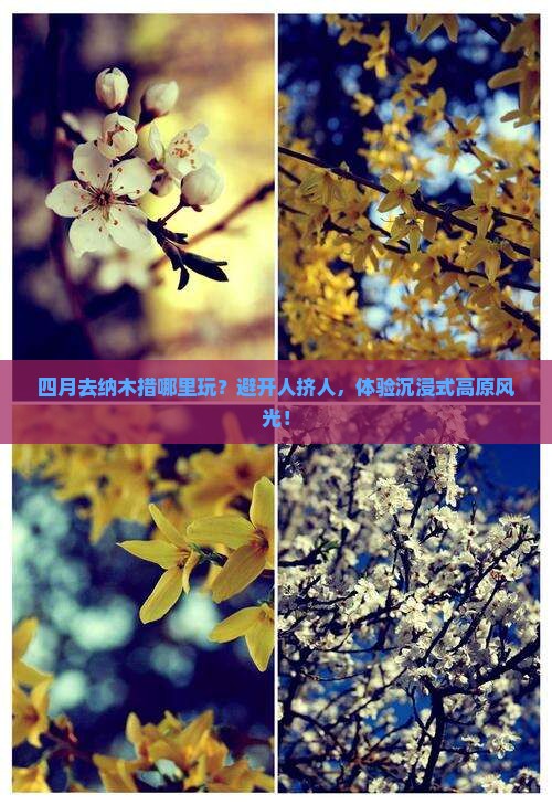 四月到西藏纳木措哪里玩