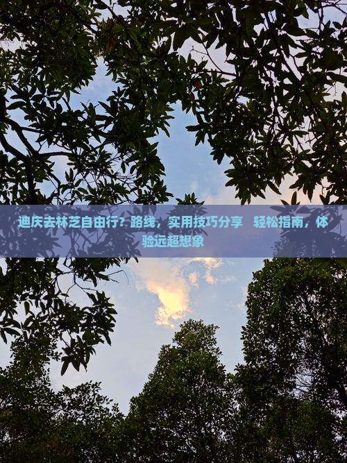 迪庆去西藏林芝自由行