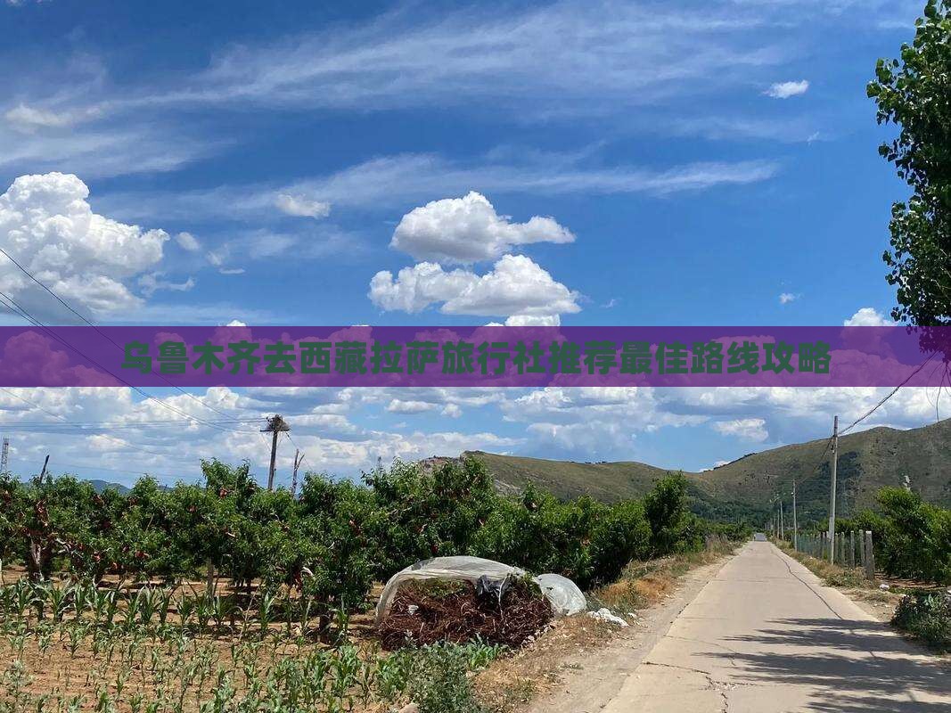 乌鲁木齐去西藏拉萨旅行社