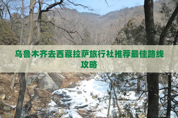 乌鲁木齐去西藏拉萨旅行社