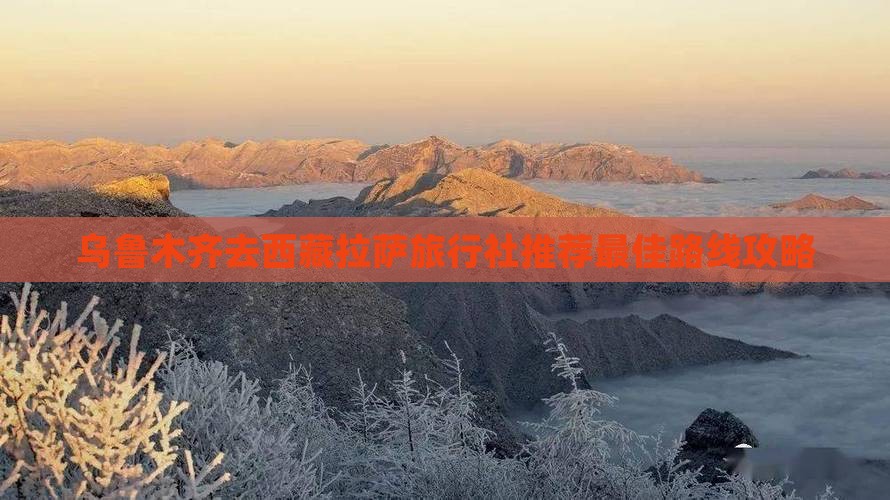乌鲁木齐去西藏拉萨旅行社