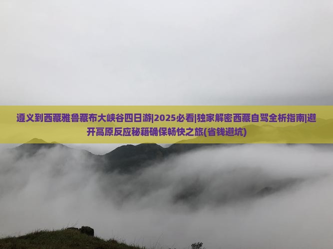 遵义到西藏雅鲁藏布大峡谷四日游