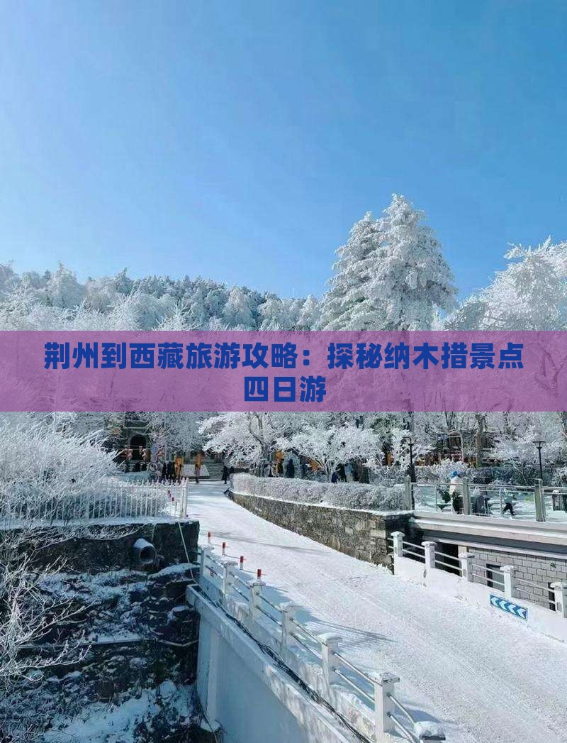 荆州去西藏纳木措四日游
