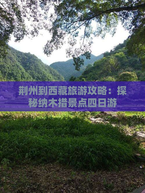 荆州去西藏纳木措四日游