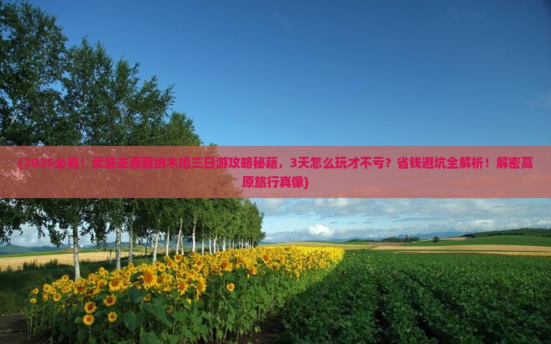 武威去西藏纳木措三日游