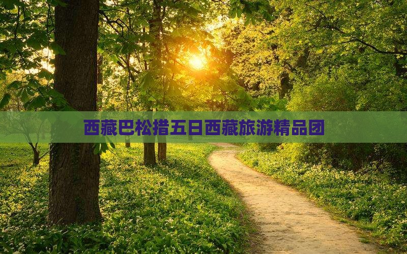 五月去西藏巴松措大型旅游团
