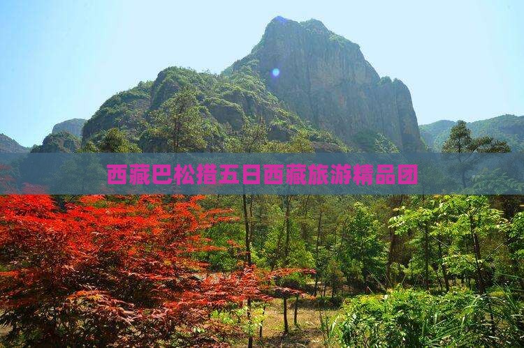 五月去西藏巴松措大型旅游团