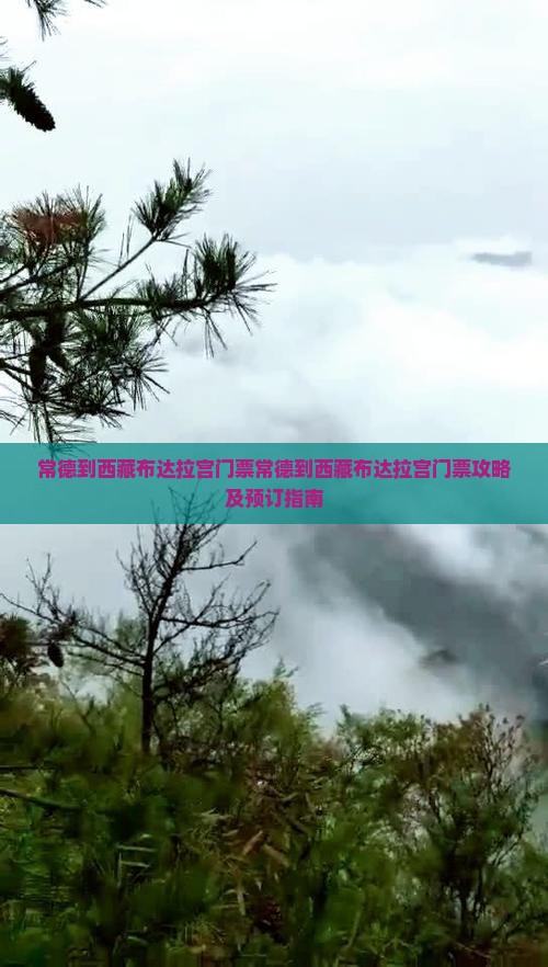 常德到西藏布达拉宫门票