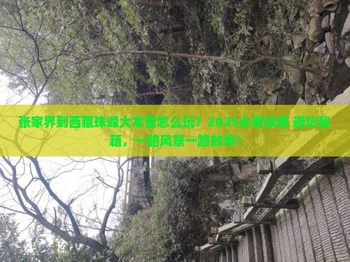 张家界到西藏珠峰大本营哪里玩