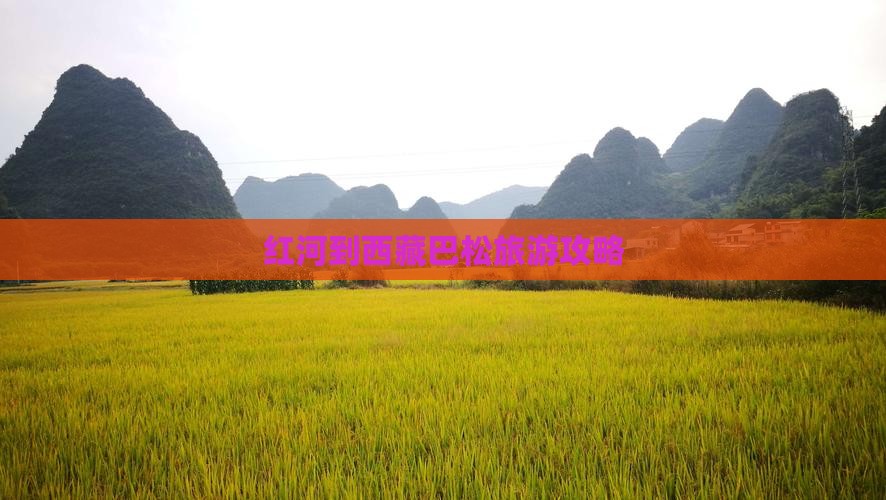 红河到西藏巴松措旅游