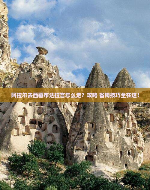 阿拉尔去西藏布达拉宫景点