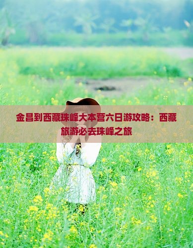金昌到西藏珠峰大本营六日游