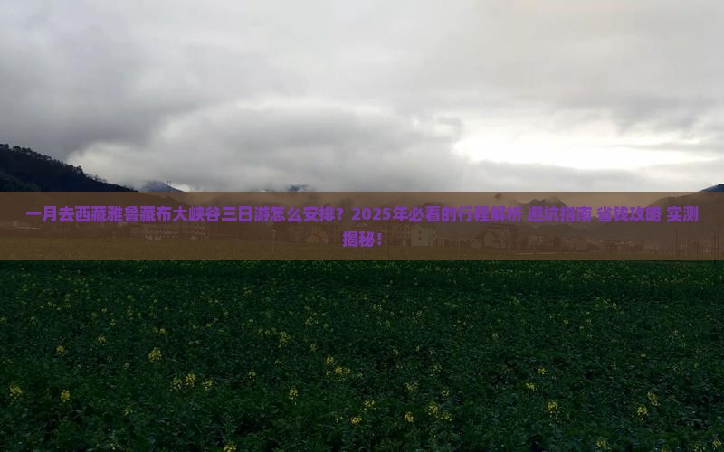 一月去西藏雅鲁藏布大峡谷三日游