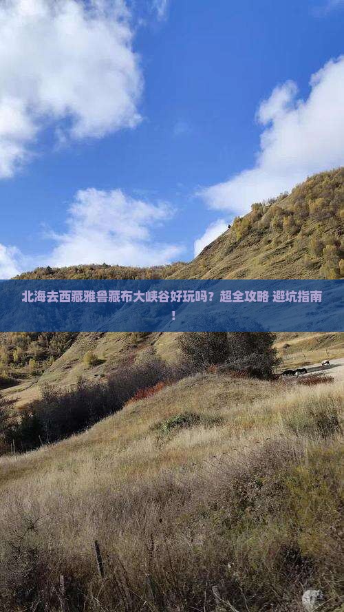 北海去西藏雅鲁藏布大峡谷旅行社