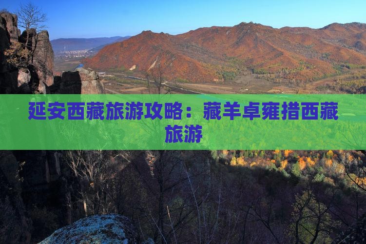 延安去西藏羊卓雍措旅游 延安去西藏羊卓雍措旅游