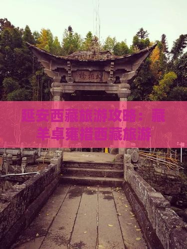延安去西藏羊卓雍措旅游 延安去西藏羊卓雍措旅游