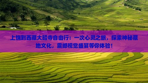 上饶到西藏大昭寺自由行