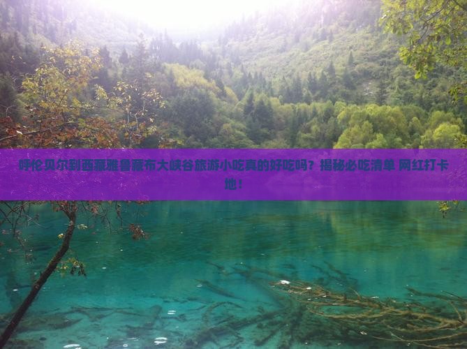 呼伦贝尔到西藏雅鲁藏布大峡谷旅游小吃