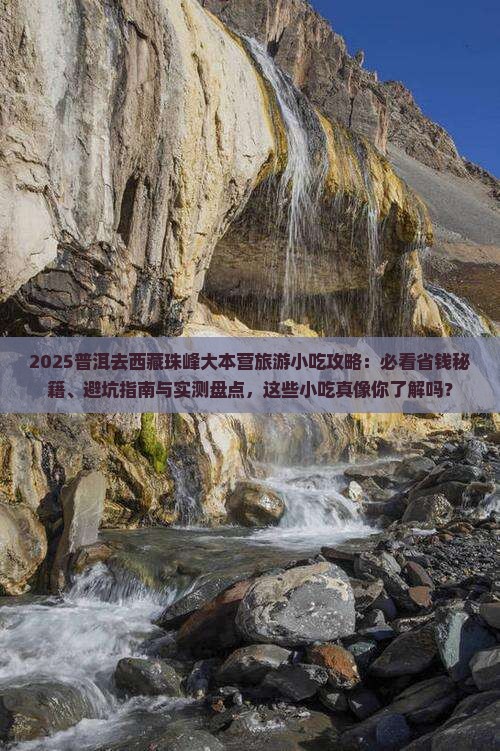普洱去西藏珠峰大本营旅游小吃