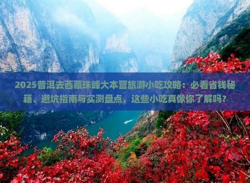 普洱去西藏珠峰大本营旅游小吃