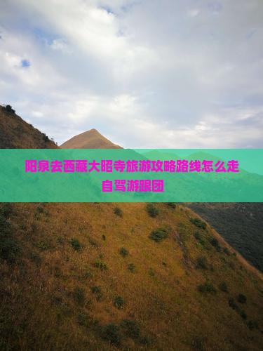 阳泉去西藏大昭寺旅游
