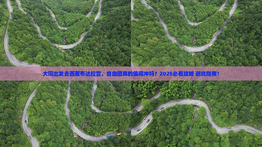 大同去西藏布达拉宫自由团