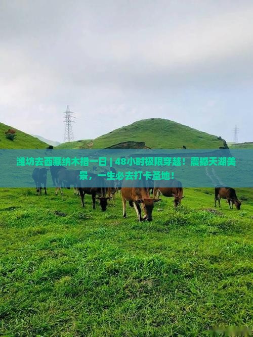 潍坊去西藏纳木措一日