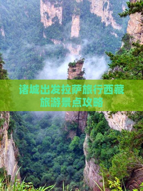 诸城去西藏拉萨团体旅游