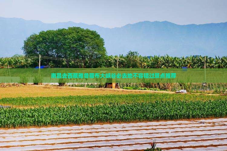 南昌去西藏雅鲁藏布大峡谷必去地
