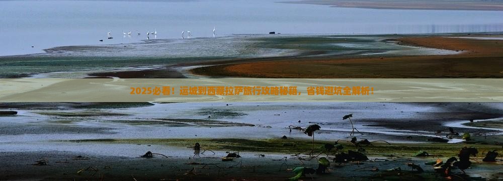 运城到西藏拉萨旅行社