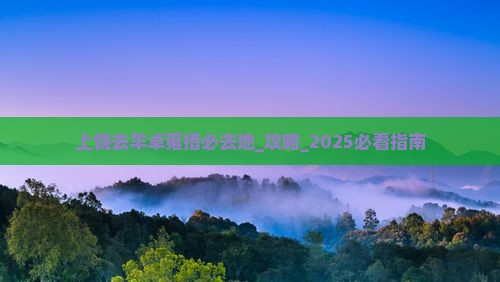 上饶去西藏羊卓雍措必去地 上饶去西藏羊卓雍措必去地