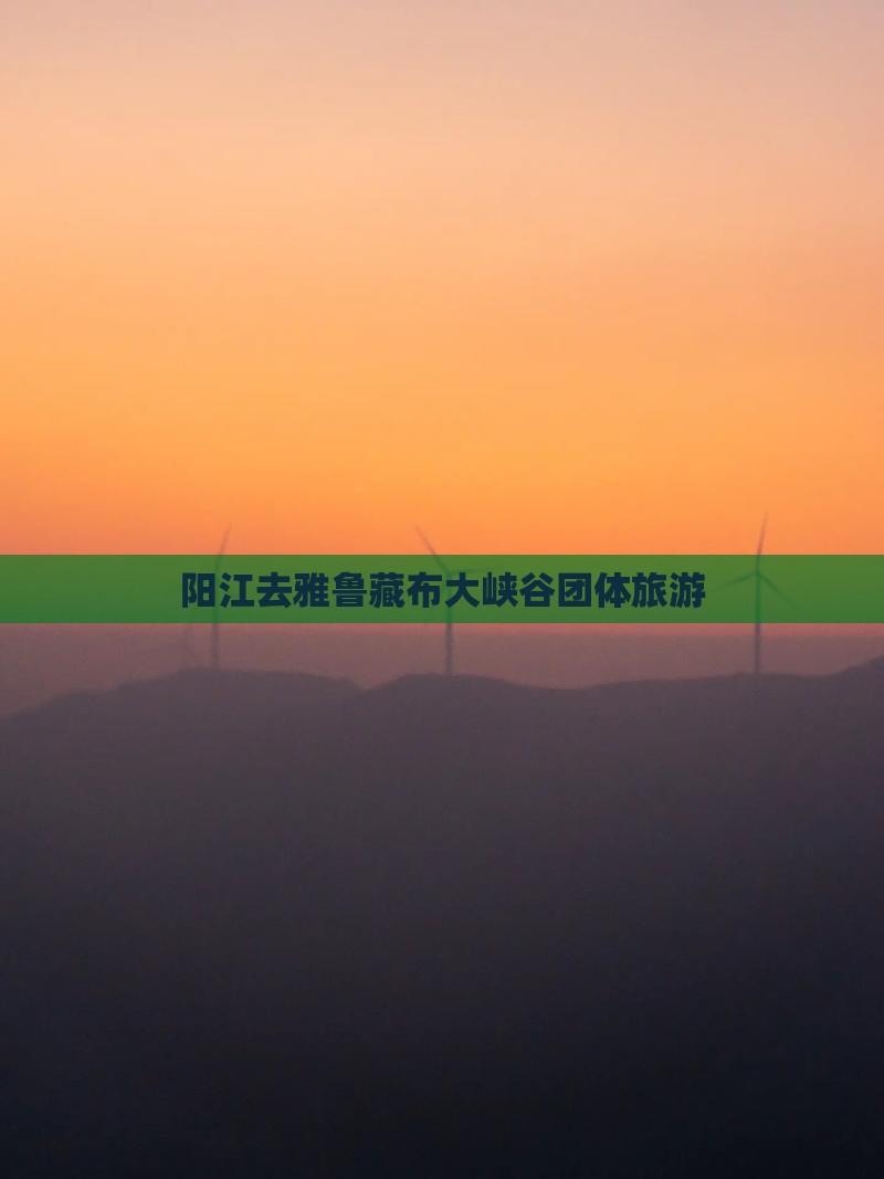 阳江去西藏雅鲁藏布大峡谷团体旅游