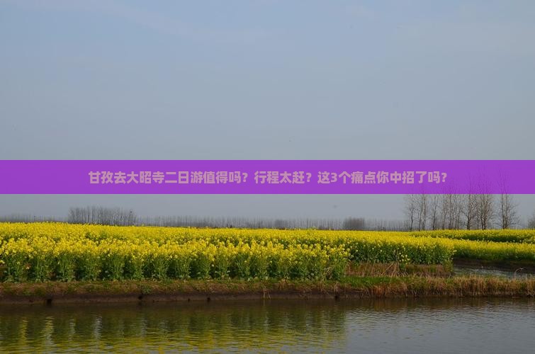 甘孜去西藏大昭寺二日游