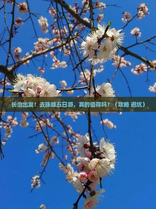 长治去西藏珠峰大本营五日游