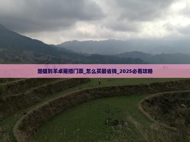 楚雄到西藏羊卓雍措门票 楚雄到西藏羊卓雍措门票