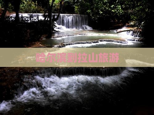 哈尔滨到西藏色季拉山旅行社
