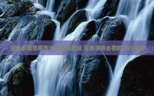 宜春去西藏雅鲁藏布大峡谷哪里玩