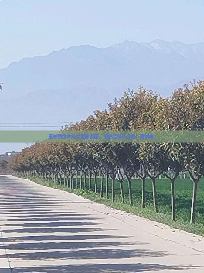 玉林到西藏纳木措大型旅游团
