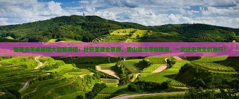 楚雄去西藏羊卓雍措大型旅游团