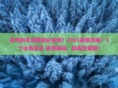 永州到西藏羊卓雍措必去地