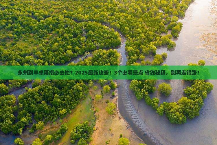 永州到西藏羊卓雍措必去地