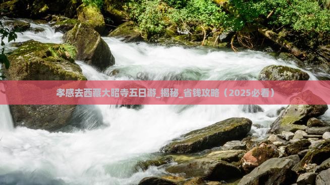 孝感去西藏大昭寺五日游
