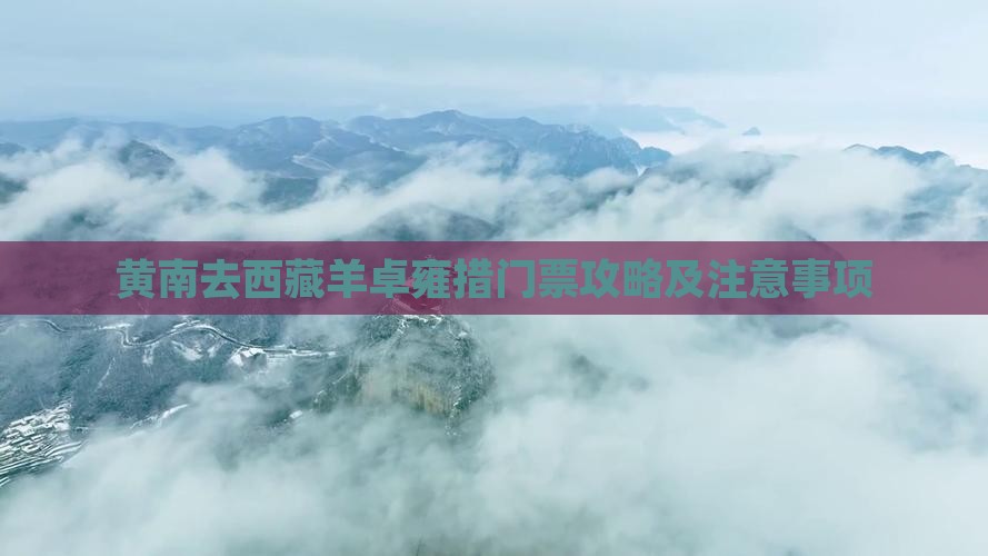黄南去西藏羊卓雍措门票